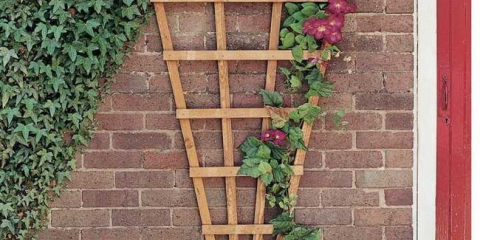 Diy mřížoví - 110 fotografií, jak si vyrobit vlastní ruce a video tipy pro použití v krajinném designu